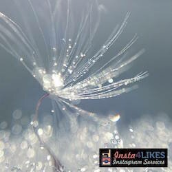 Buy 70 Instagram LIKES and 6 COMMENTS