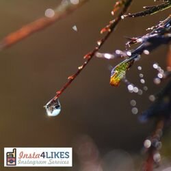 Buy Facebook COMMENTS