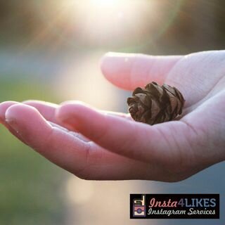 How to buy Instagram followers