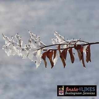 Insta4likes on Instagram