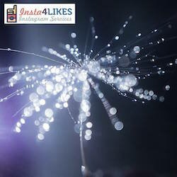 How to buy Instagram FOLLOWERS on insta4likes.com